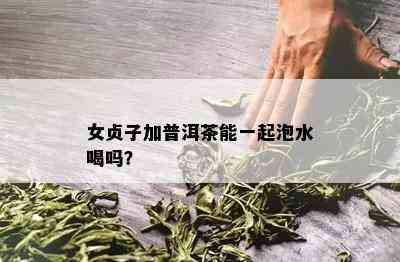 女贞子加普洱茶能一起泡水喝吗？