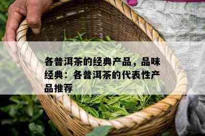 各普洱茶的经典产品，品味经典：各普洱茶的代表性产品推荐