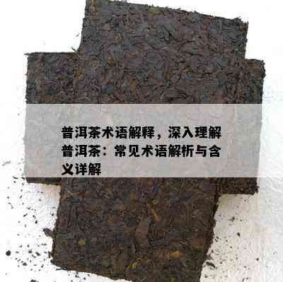 普洱茶术语解释，深入理解普洱茶：常见术语解析与含义详解