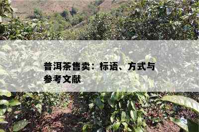 普洱茶售卖：标语、方式与参考文献