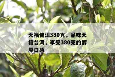 天福普洱380克，品味天福普洱，享受380克的醇厚口感