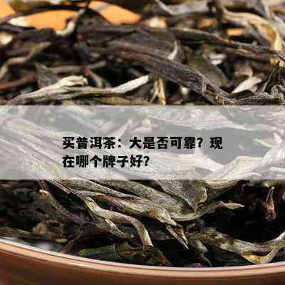 买普洱茶：大是不是可靠？现在哪个牌子好？