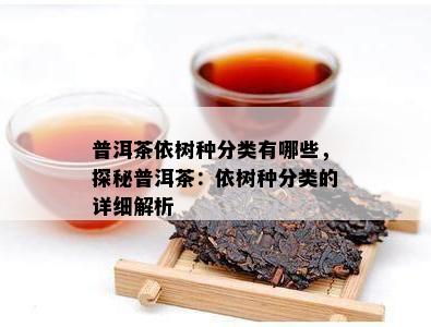 普洱茶依树种分类有哪些，探秘普洱茶：依树种分类的详细解析