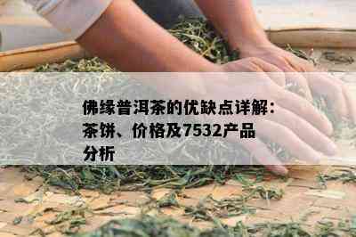 佛缘普洱茶的优缺点详解：茶饼、价格及7532产品分析