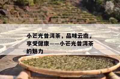 小芒光普洱茶，品味云南，享受健康——小芒光普洱茶的魅力