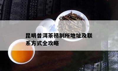 昆明普洱茶初制所地址及联系方法全攻略