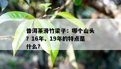 普洱茶滑竹梁子：哪个山头？16年、19年的特点是什么？