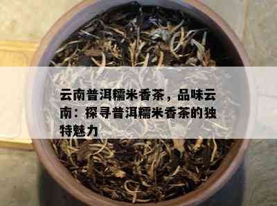 云南普洱糯米香茶，品味云南：探寻普洱糯米香茶的特别魅力