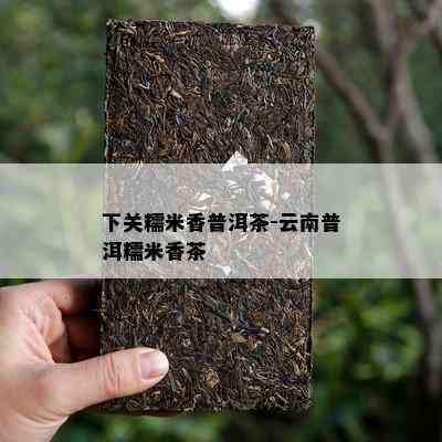 下关糯米香普洱茶-云南普洱糯米香茶