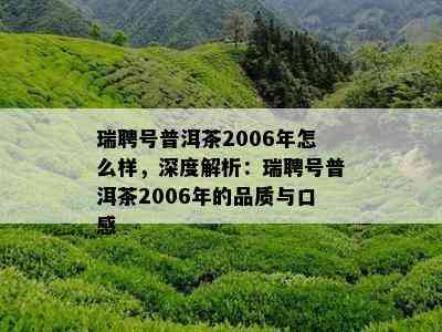 瑞聘号普洱茶2006年怎么样，深度解析：瑞聘号普洱茶2006年的品质与口感