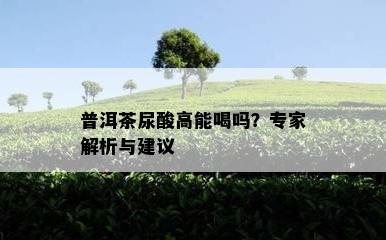 普洱茶尿酸高能喝吗？专家解析与建议