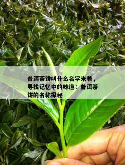 普洱茶饼叫什么名字来着，寻找记忆中的味道：普洱茶饼的名称探秘