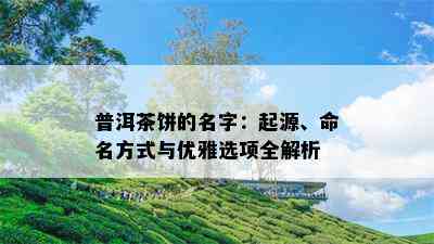 普洱茶饼的名字：起源、命名方法与优雅选项全解析