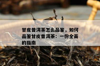 甘皮普洱茶怎么品鉴，怎样品鉴甘皮普洱茶：一份全面的指南