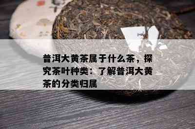 普洱大黄茶属于什么茶，探究茶叶种类：熟悉普洱大黄茶的分类归属