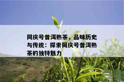 同庆号普洱熟茶，品味历史与传统：探索同庆号普洱熟茶的特别魅力