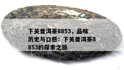 下关普洱茶8853，品味历史与口感：下关普洱茶8853的探索之旅