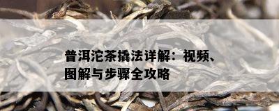 普洱沱茶撬法详解：视频、图解与步骤全攻略