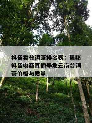 抖音卖普洱茶排名表：揭秘抖音电商直播基地云南普洱茶价格与品质