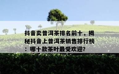 抖音卖普洱茶排名前十，揭秘抖音上普洱茶销售排行榜：哪十款茶叶更受欢迎？