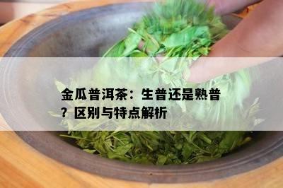 金瓜普洱茶：生普还是熟普？区别与特点解析