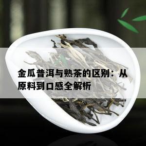 金瓜普洱与熟茶的区别：从原料到口感全解析