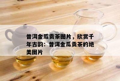 普洱金瓜贡茶图片，欣赏千年古韵：普洱金瓜贡茶的绝美图片