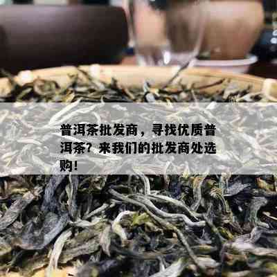 普洱茶批发商，寻找优质普洱茶？来咱们的批发商处选购！