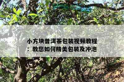 小方块普洱茶包装视频教程：教您怎样精美包装及冲泡