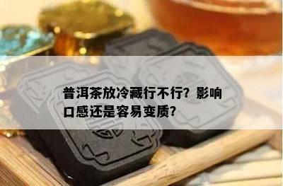 普洱茶放冷藏行不行？影响口感还是容易变质？