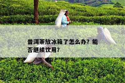 普洱茶放冰箱了怎么办？能否继续饮用？