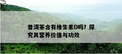 普洱茶含有维生素D吗？探究其营养价值与功效