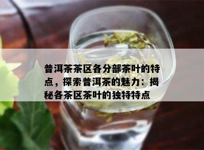 普洱茶茶区各分部茶叶的特点，探索普洱茶的魅力：揭秘各茶区茶叶的独特特点