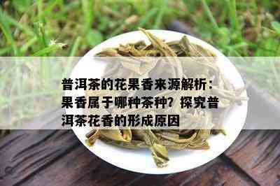 普洱茶的花果香来源解析：果香属于哪种茶种？探究普洱茶花香的形成起因