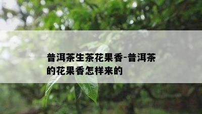 普洱茶生茶花果香-普洱茶的花果香怎样来的