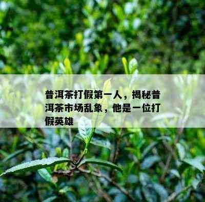 普洱茶打假之一人，揭秘普洱茶市场乱象，他是一位打假英雄