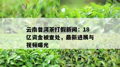 云南普洱茶打假新闻：18亿资金被查处，最新进展与视频曝光