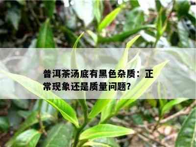 普洱茶汤底有黑色杂质：正常现象还是质量问题？