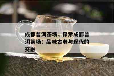 成都普洱茶场，探索成都普洱茶场：品味古老与现代的交融