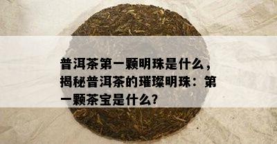 普洱茶之一颗明珠是什么，揭秘普洱茶的璀璨明珠：之一颗茶宝是什么？