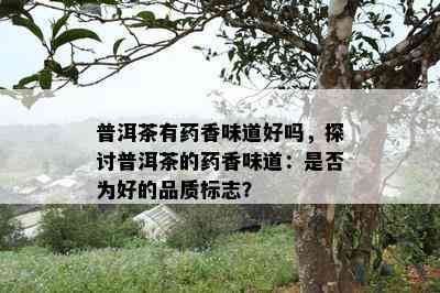 普洱茶有香味道好吗，探讨普洱茶的香味道：是不是为好的品质标志？