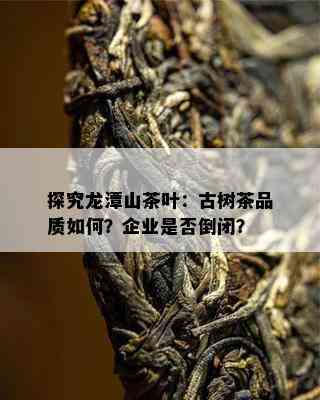 探究龙潭山茶叶：古树茶品质如何？企业是否倒闭？