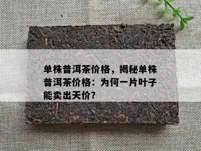 单株普洱茶价格，揭秘单株普洱茶价格：为何一片叶子能卖出天价？