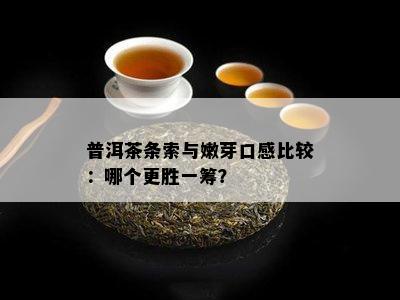 普洱茶条索与嫩芽口感比较：哪个更胜一筹？