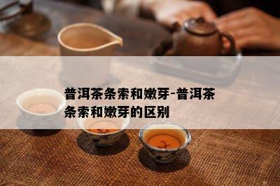 普洱茶条索和嫩芽-普洱茶条索和嫩芽的区别