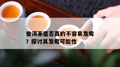 普洱茶是否真的不容易发霉？探讨其发霉可能性