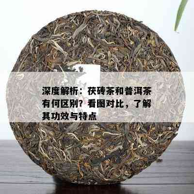 深度解析：茯砖茶和普洱茶有何区别？看图对比，熟悉其功效与特点