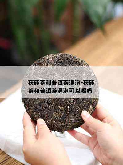 茯砖茶和普洱茶混泡-茯砖茶和普洱茶混泡可以喝吗