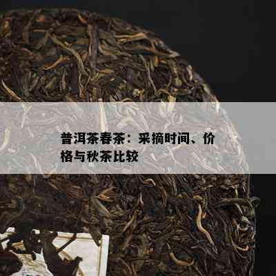 普洱茶春茶：采摘时间、价格与秋茶比较