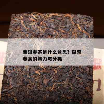 普洱春茶是什么意思？探索春茶的魅力与分类